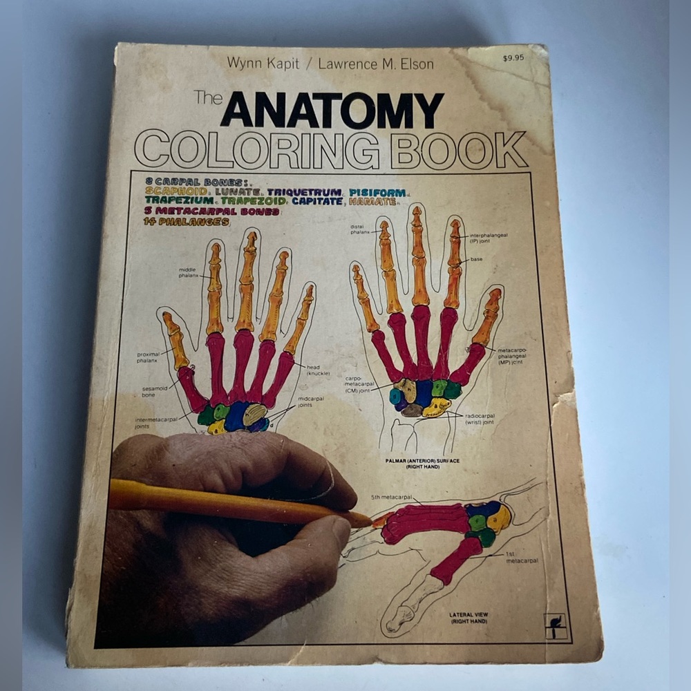 1977 Anatomy Coloring Book
